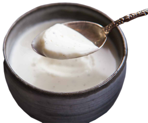 Punjabi Ghoravu